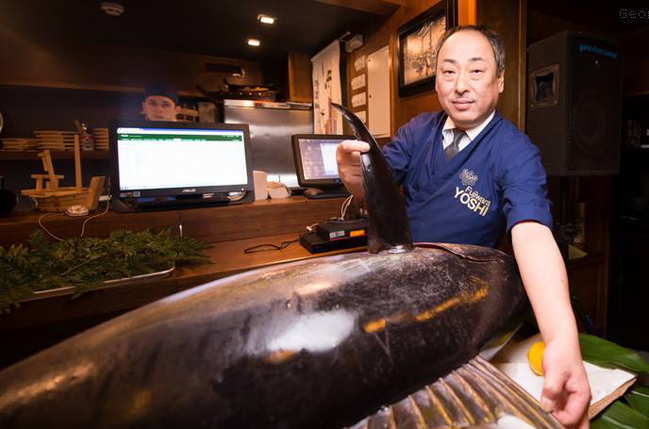 Праздник Большого Тунца в ресторане Fujiwara Yoshi