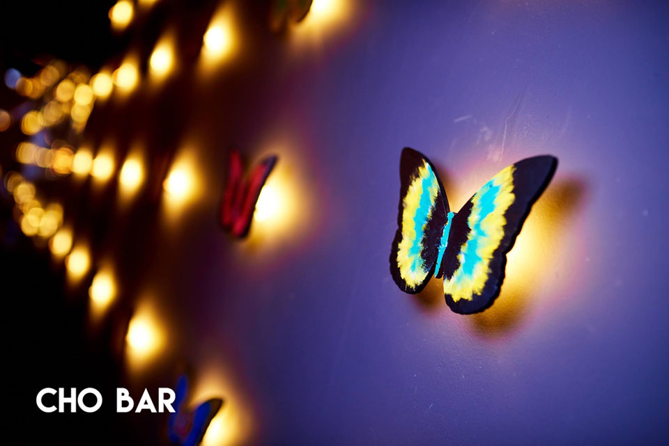 Эффект бабочки: паназиатское бистро CHO bar — новое место в центре Киева