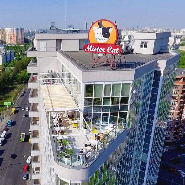 Вид с крыши: 16 панорамных ресторанов Киева