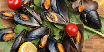 Ближе к морю: блюда из морепродуктов в сети ресторанов "Руккола"