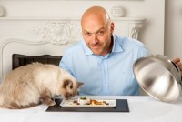 У Британії виявили ресторани для елітних англійських кішок