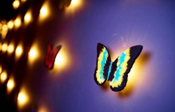 Ефект метелика: паназійський ресторан CHO bar - нове місце в центрі Києва