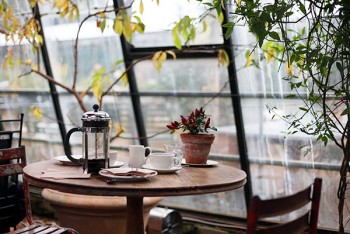 Осінь — не проблема: теплі тераси в ресторанах Києва